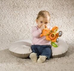 Babymoov Hochet Doudou Girafe