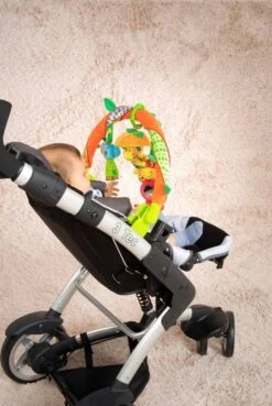 Babymoov Arche Eveil Universelle