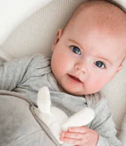 BabyMoov Doomoo Cocoon Réducteur Bébé 23 BabyMoov Doomoo Cocoon Réducteur Bébé -Babymoov a039000 3