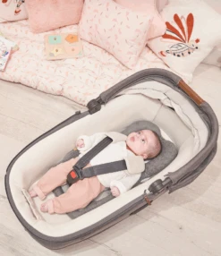BabyMoov Cosymorpho - Coussin Réducteur Pour Transat, Siège-auto -Babymoov a050408 2
