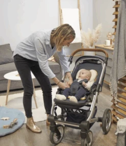 BabyMoov Cosymorpho - Coussin Réducteur Pour Transat, Siège-auto -Babymoov a050409 2